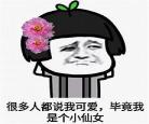 因为我是仙女啊百度网盘